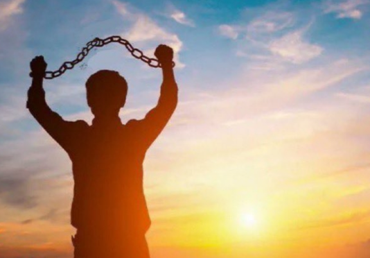 LooseLogan tweet media