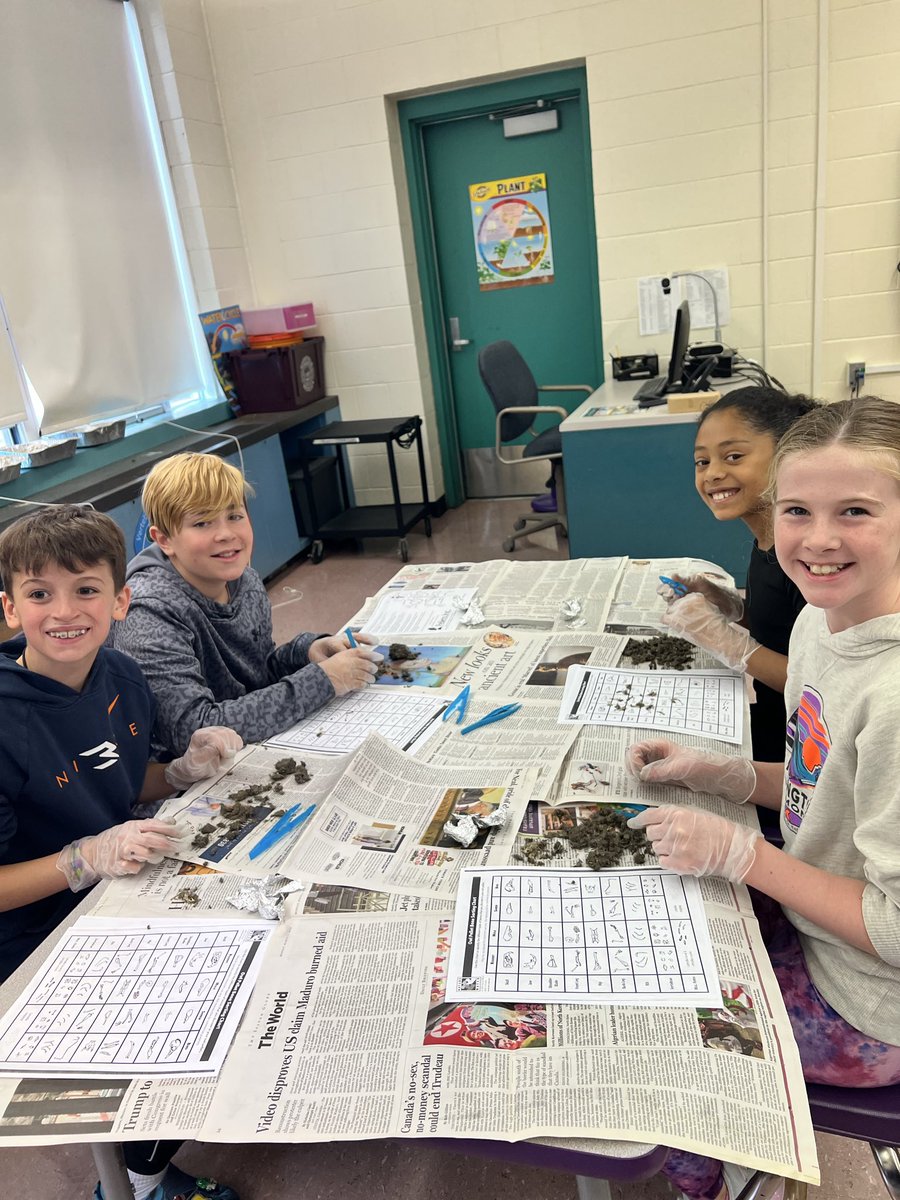 rlfreedm's tweet image. Continuing #stemweek in our STEM lab discovering the ecosystem of an owl pellet. We are making observations and drawing conclusions about our owl! #jjsecretagents
