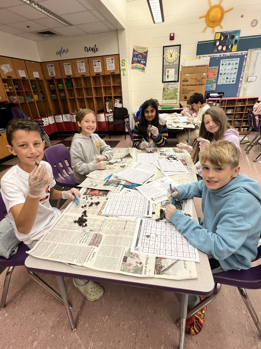 rlfreedm's tweet image. Continuing #stemweek in our STEM lab discovering the ecosystem of an owl pellet. We are making observations and drawing conclusions about our owl! #jjsecretagents