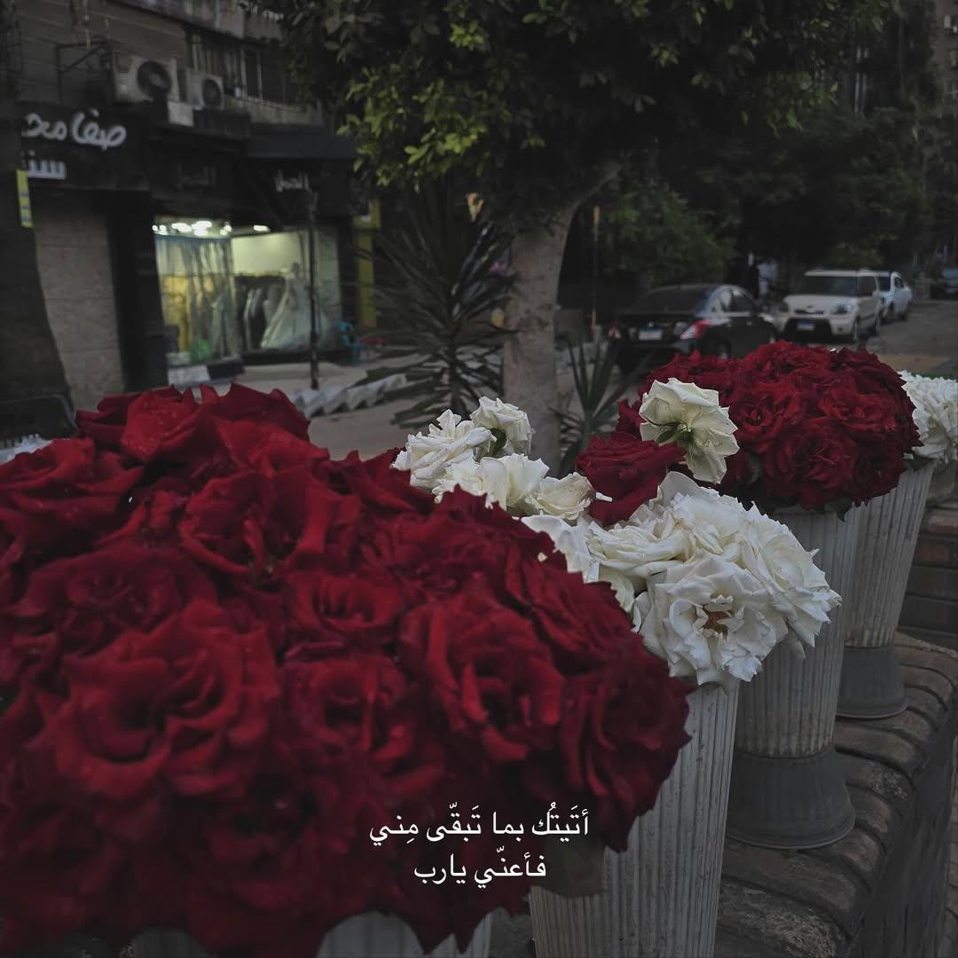 وحدة (@lonley_a9) on Twitter photo 