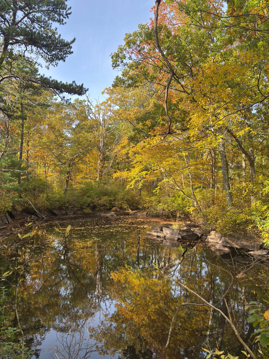 #Autumn2025 #Massachusetts