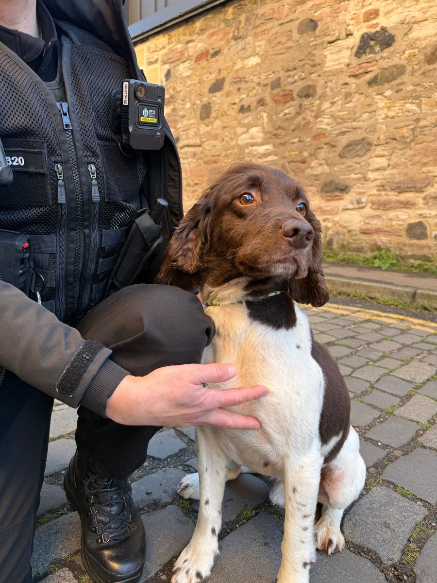 PSOSEdinburgh's tweet image. Police officers equipped with body worn video cameras were on duty in Edinburgh and The Lothians and Scottish Borders today, as the national roll out across Scotland hits the halfway mark.
Find out more ➡ orlo.uk/ifpqP