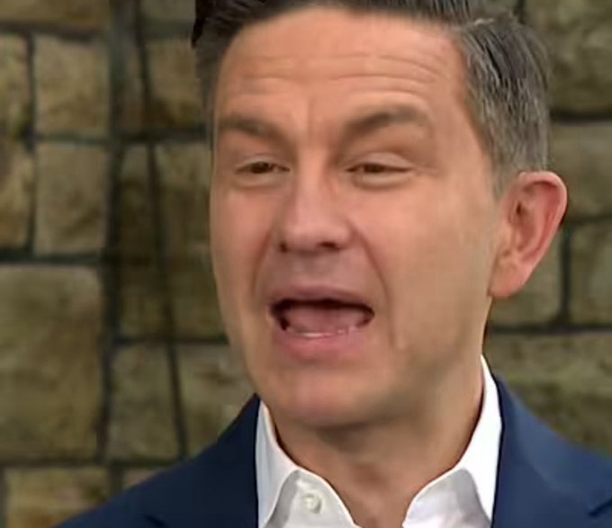 I look at and listen to Poilievre and those close to him and I see and hear hate. Not criticism of the government or presentation of alternative policy. Hate. He's just a shitty person surrounded by shitty people with no interest in the good of the country. Just hate.