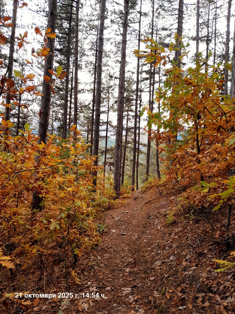 Красива Есен 🍁🍁🍁
