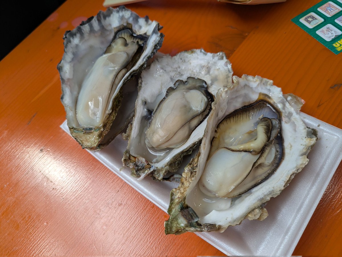 6Msoh's tweet photo. けやきにも実は行ってたんだよアピール https://t.co/J51AL3Q8Mi