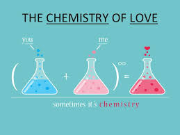 True Dating tweet media