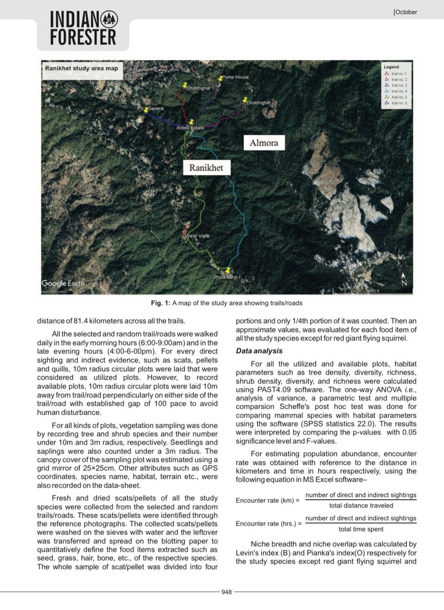 Orus Ilyas tweet media