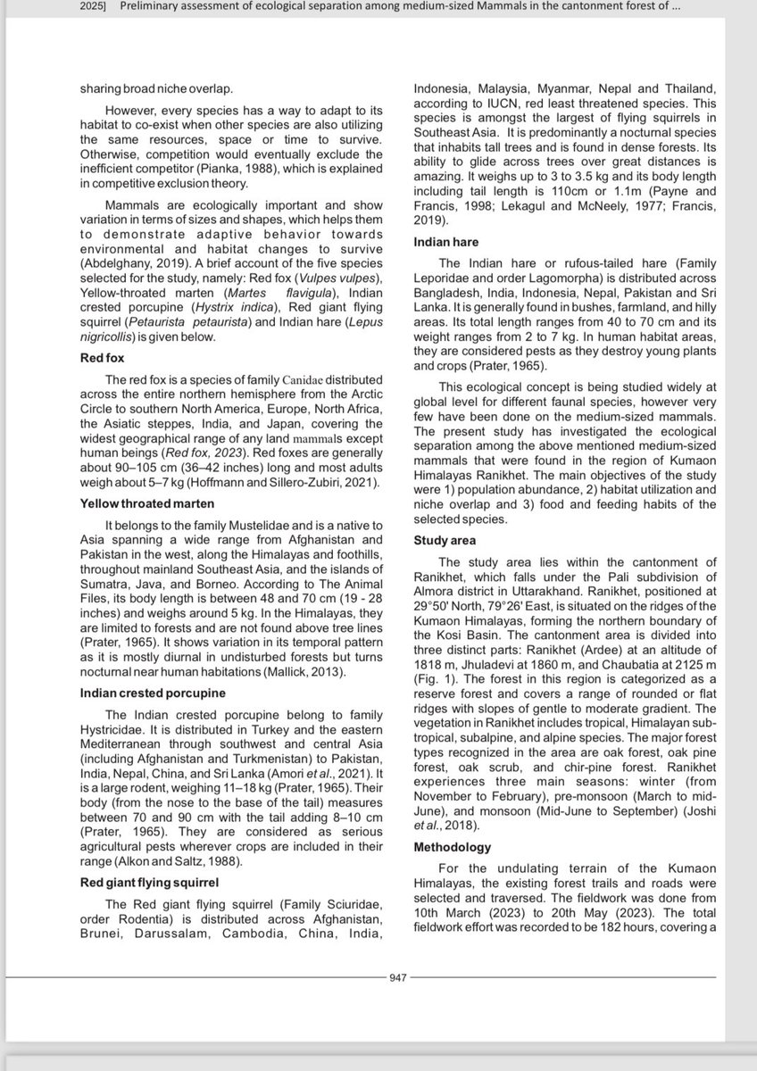 Orus Ilyas tweet media