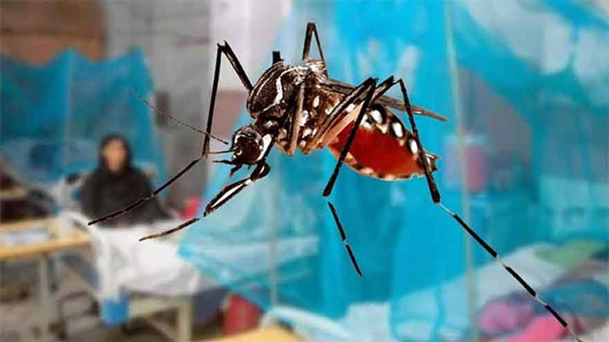 TNNEnglish's tweet image. #Nowshera: A dangerous rise in #dengue cases; five-year-old Syed Muhammad Musa dies from the virus.

The death toll in the district has reached five, while the number of cases has climbed into the #thousands.

Residents express concern over the lack of preventive and fogging