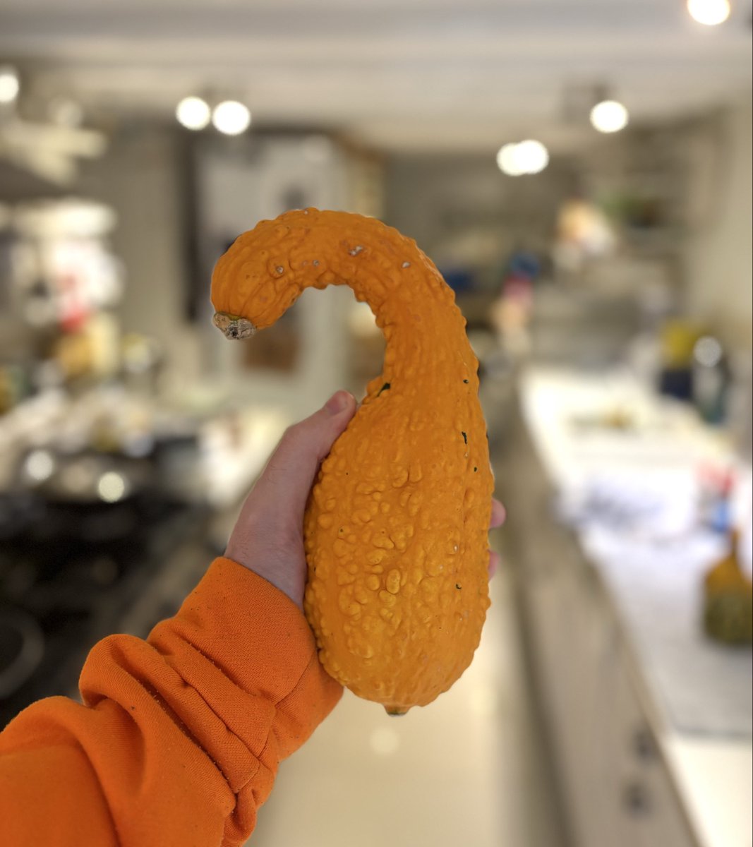 Oh my gourd!!!!