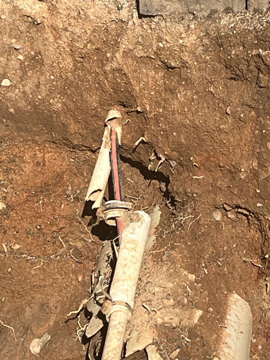 Hilary Wynne tweet media