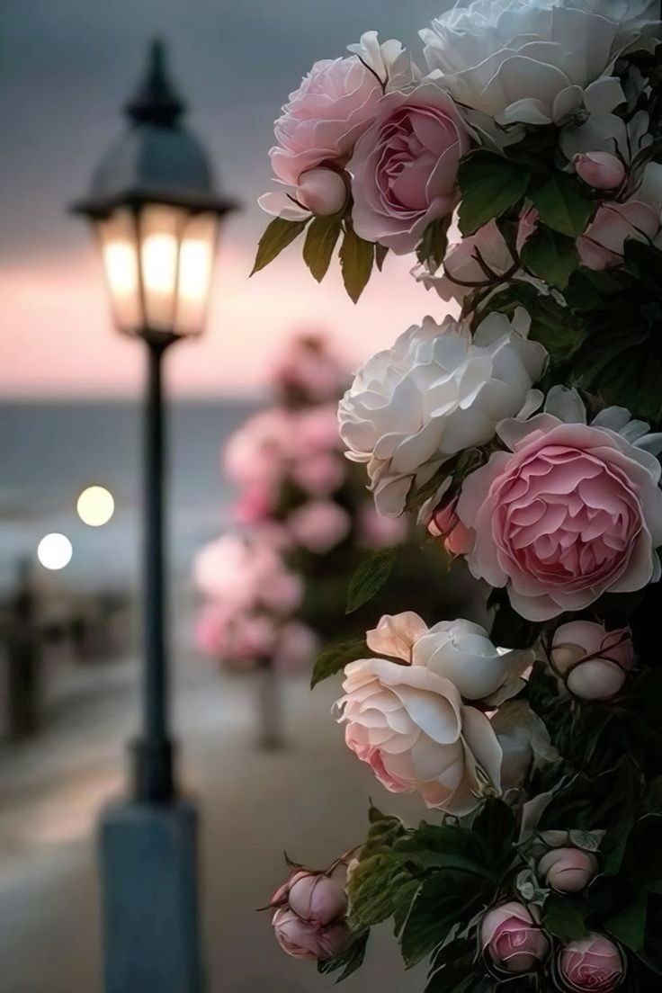 كل صباح لديك فرصة جديدة لتصبح نسخة أكثر سعادة من نفسك 🤎.