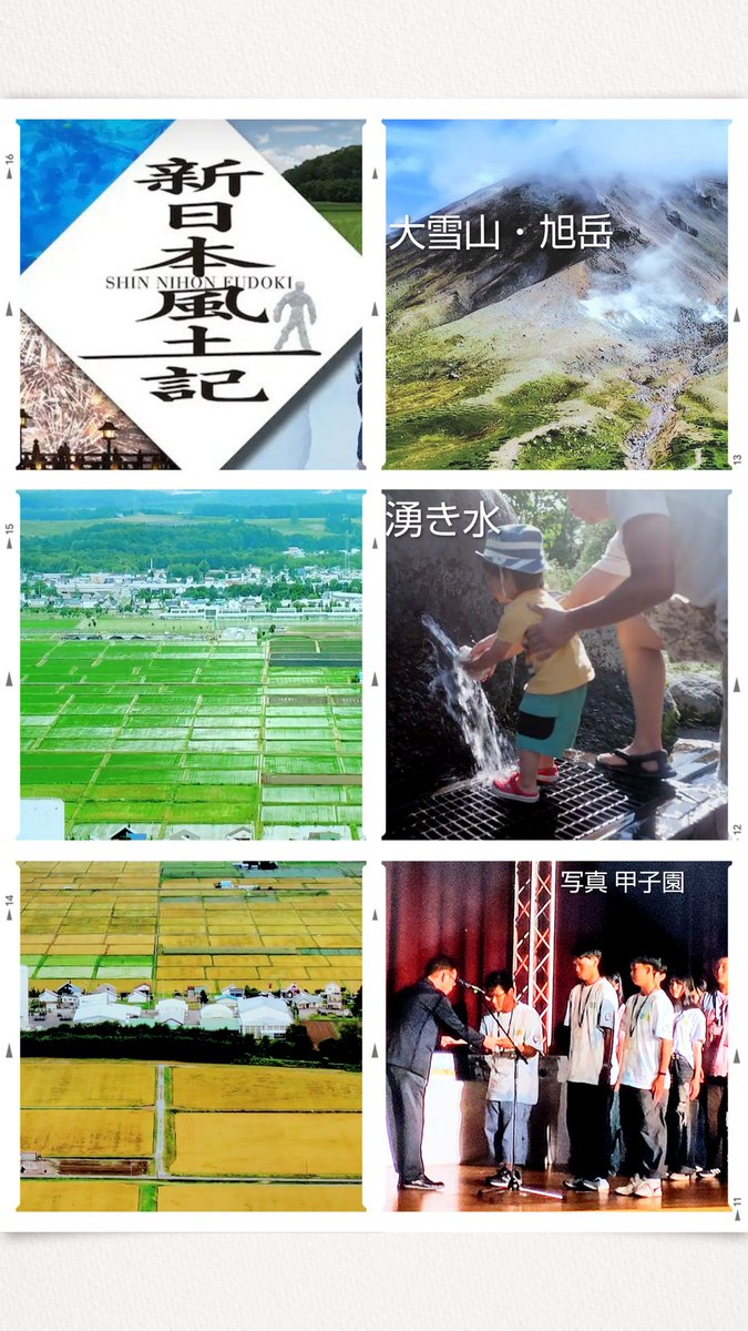 マー！ (@1X1GFjIYIbTDa5w) / Posts / X