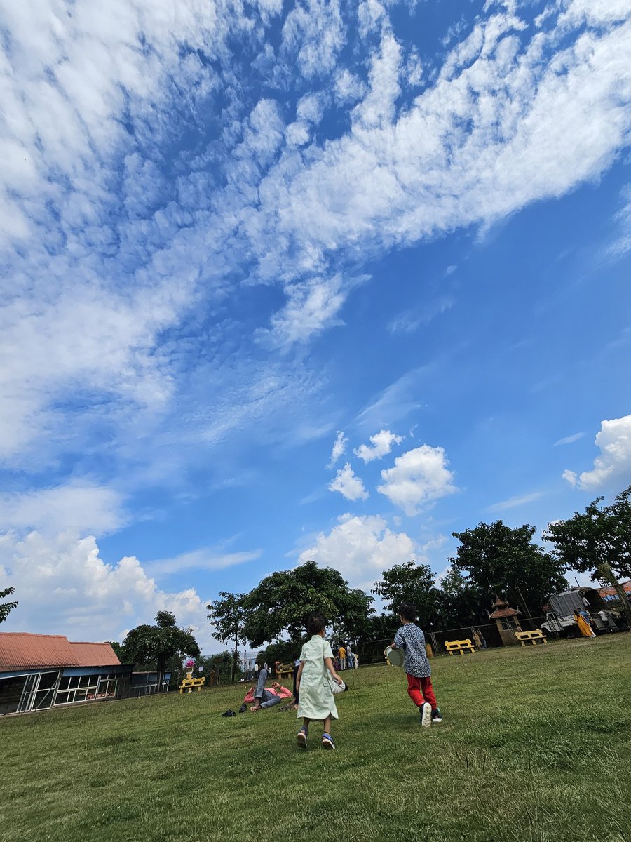 _jaydeepkarale's tweet image. As a developer did you touch grass today ?