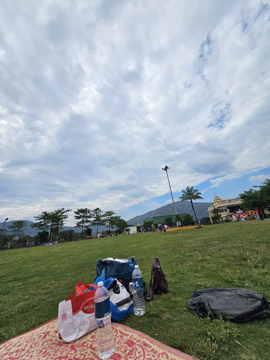 _jaydeepkarale's tweet image. As a developer did you touch grass today ?