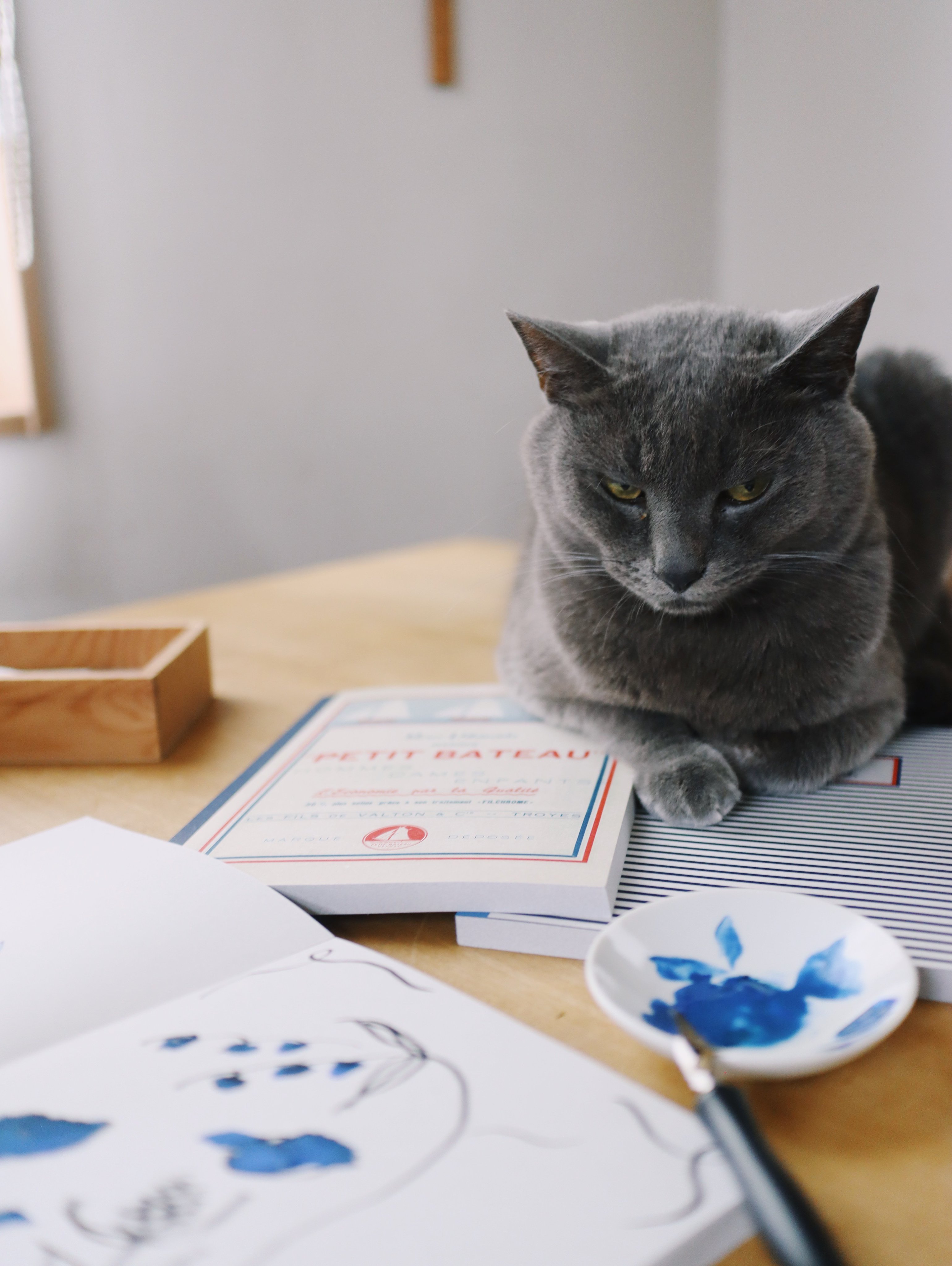 PETIT BATEAU | プチバトー (@petitbateaujp) / X