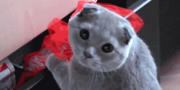 thecodinglove's tweet image. When the boss catches me watching a YouTube video thecodinglove.com/when-the-boss-…