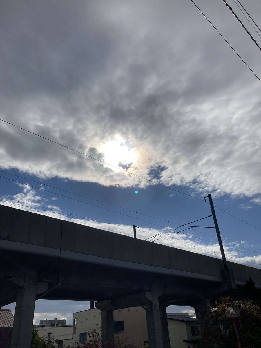 Good morning ☀️🕊️💕Afternoon 🍊
Evening 🍇 night ✨🦉