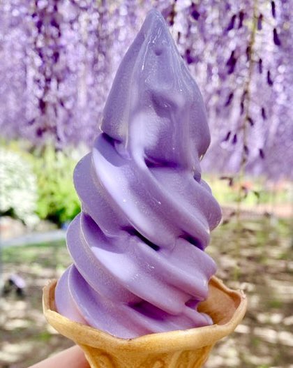 栃木県にある「あしかがフラワーパーク」内で販売されている、藤の香り