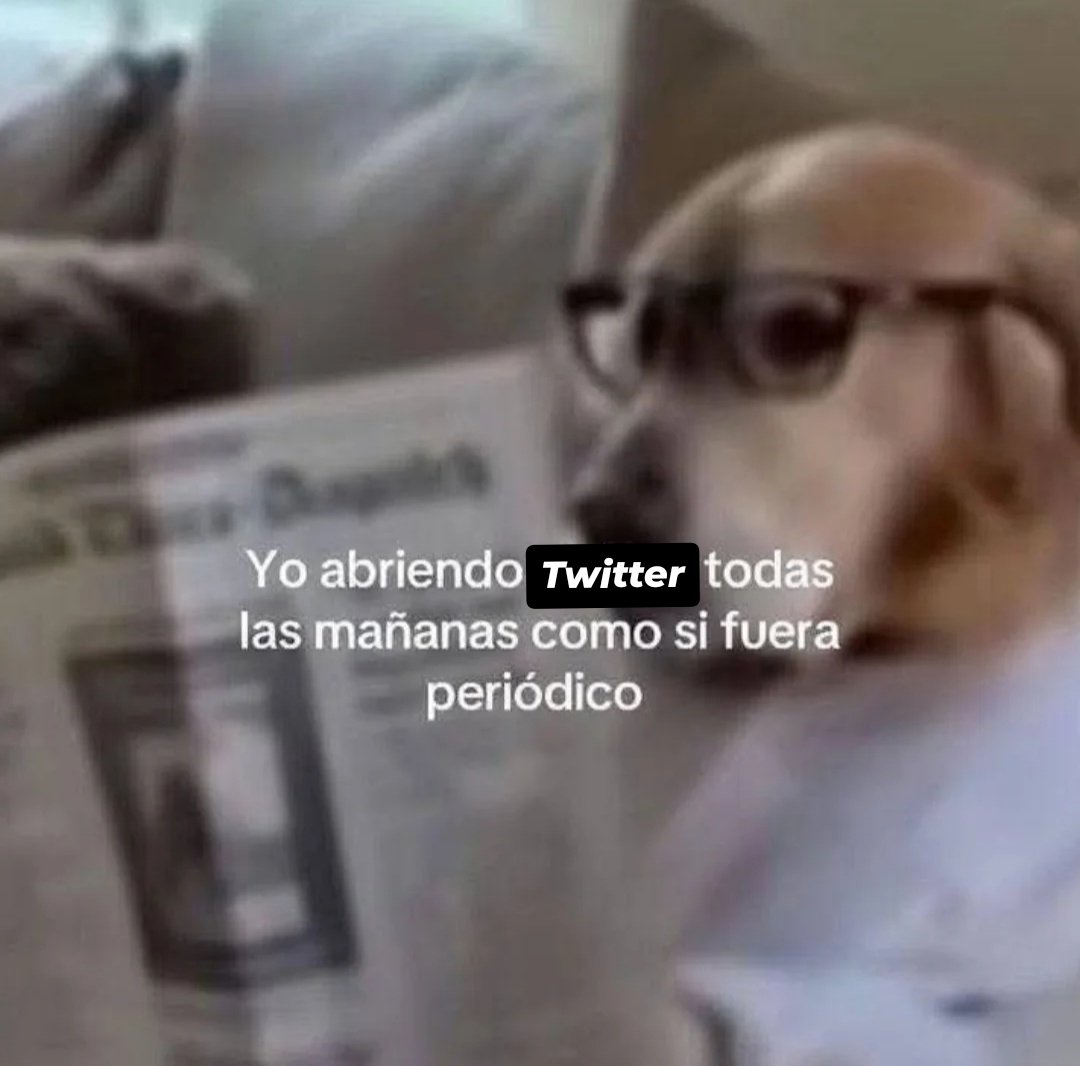 Tweet media one