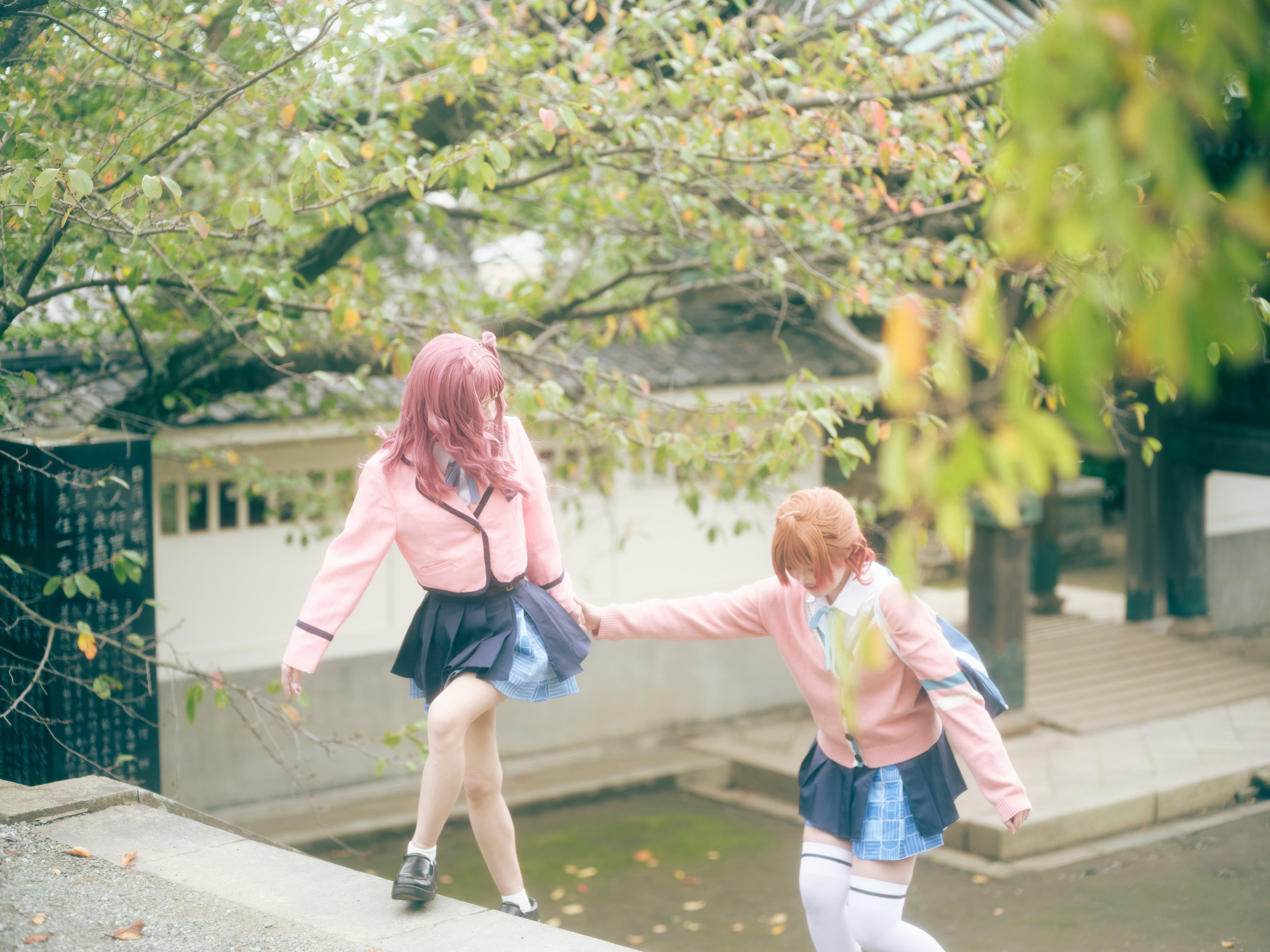 しらたま (@mochi_4anko) / X