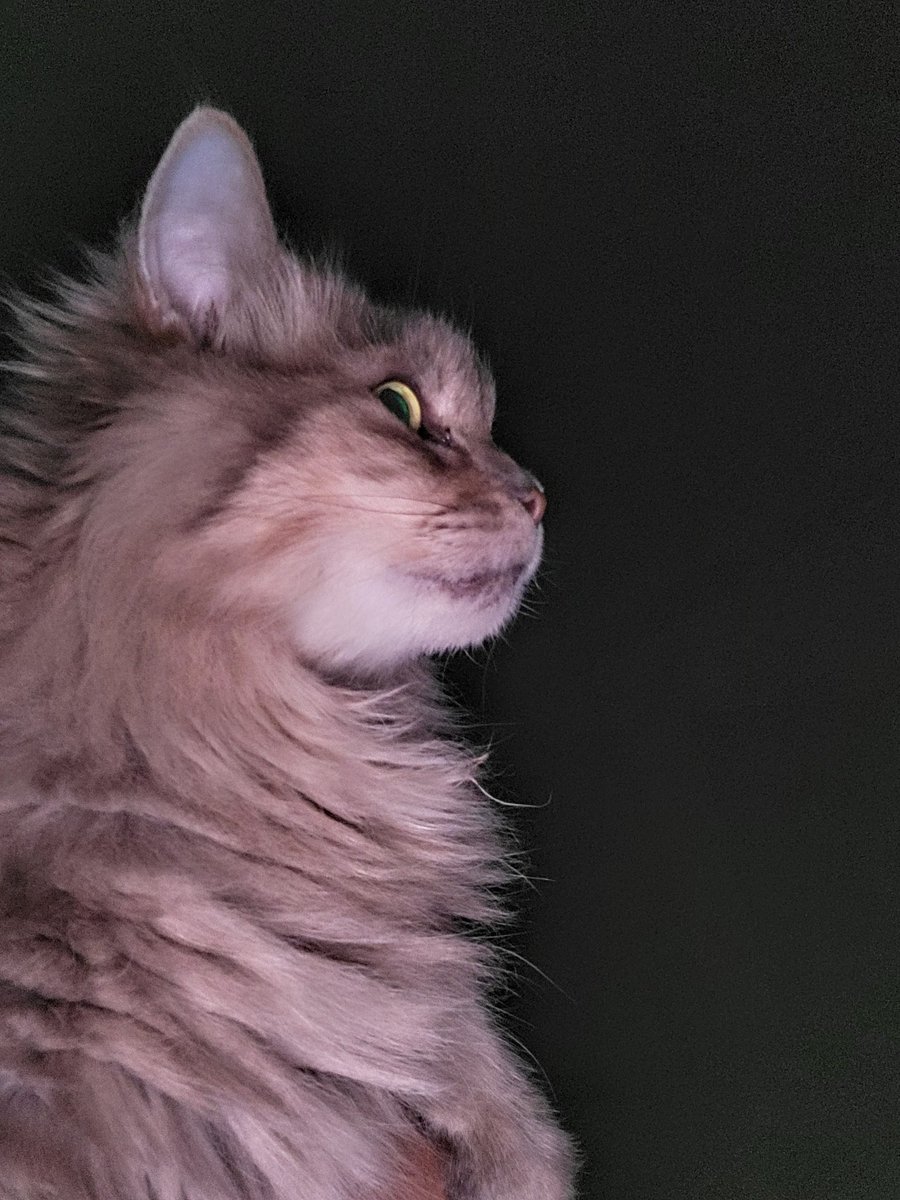 Wednesday Morning Mushu  - 0610 - 72F