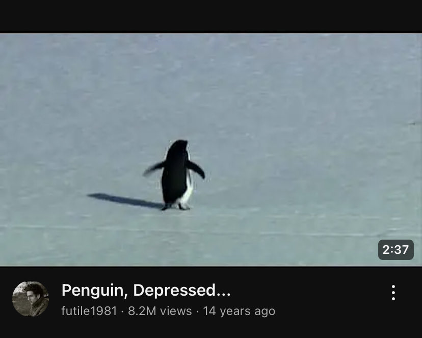 . (@sarasherif64) on Twitter photo 