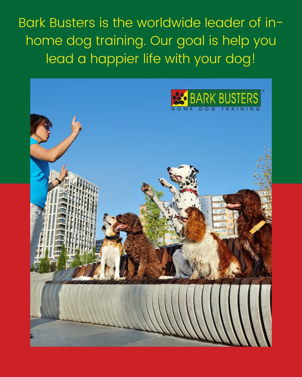 barkbusterla's tweet image. 🐶🎯 From barking to biting, we teach better behavior through leadership—not force or treats. 🏡✨
👉 barkbusters.com/dog-training/g…

#DogTrainingSuccess #BetterBehavior