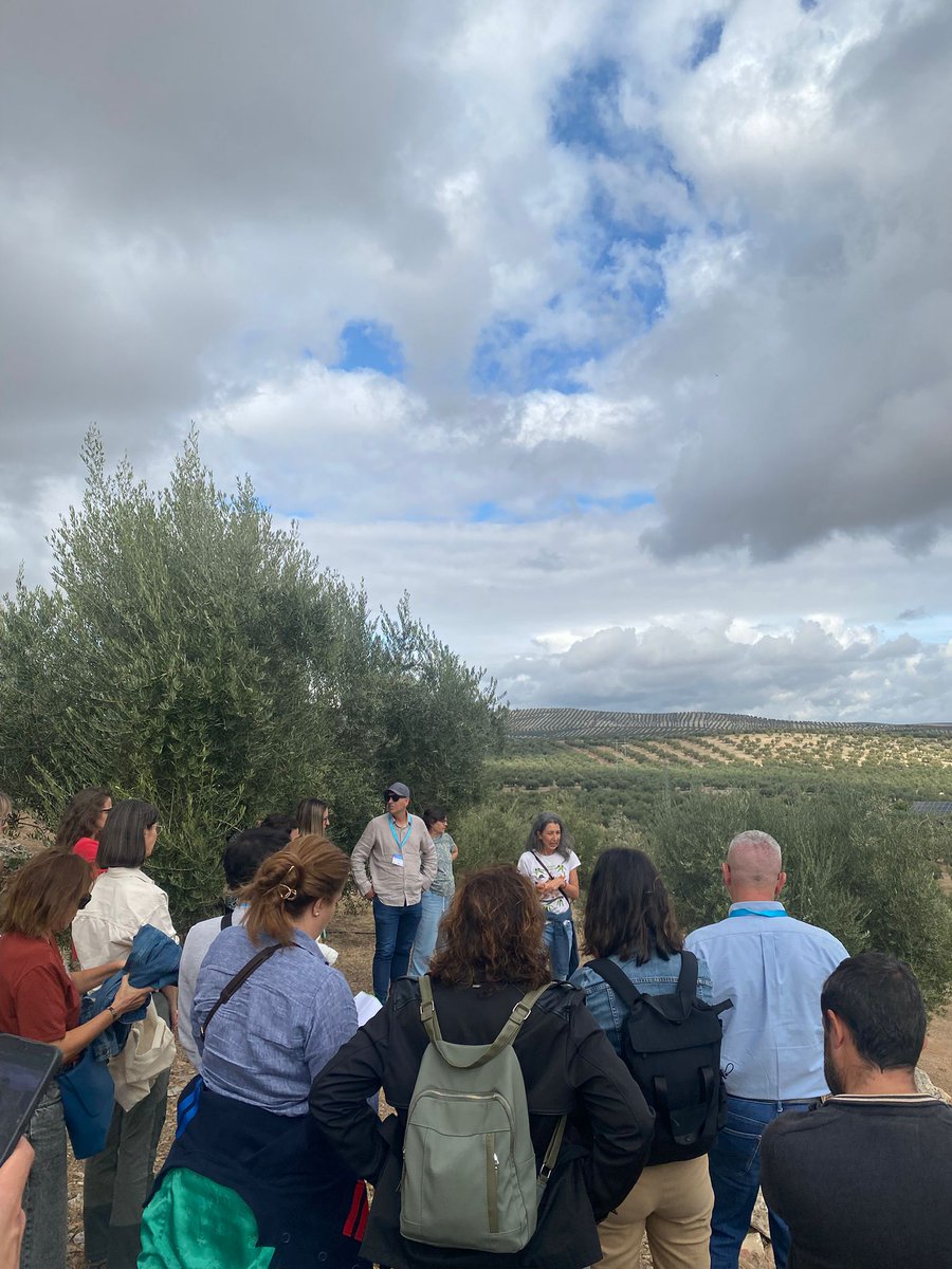 cei_A3's tweet photo. Hoy nuestras técnicas de la oficina de Proyectos del ceiA3 continúan en la segunda jornada de Intercambio de Experiencias entre #GGOO y Proyectos Innovadores organizada por la @redPAC_ visitando casos de estudio en fincas demostrativas de la provincia de Jaén.
#redPAC #jornadas https://t.co/E0nZl8KUol