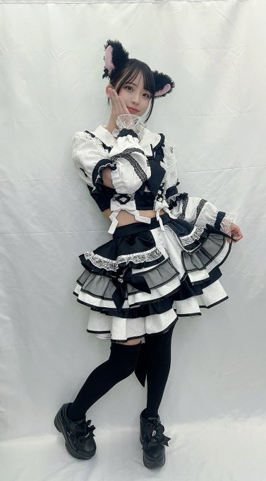 Dolly Catsのツイート