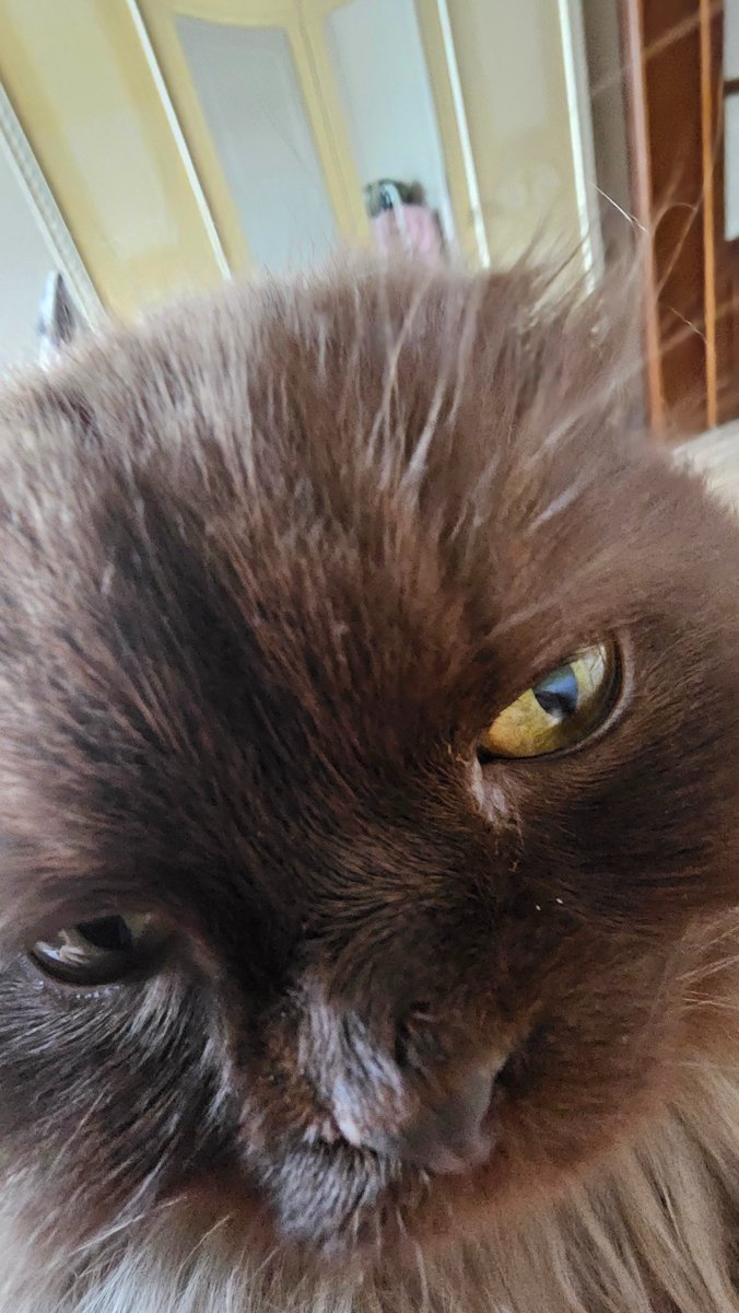 давайте тварин для розкруту, чи шо, бо шось пиздець