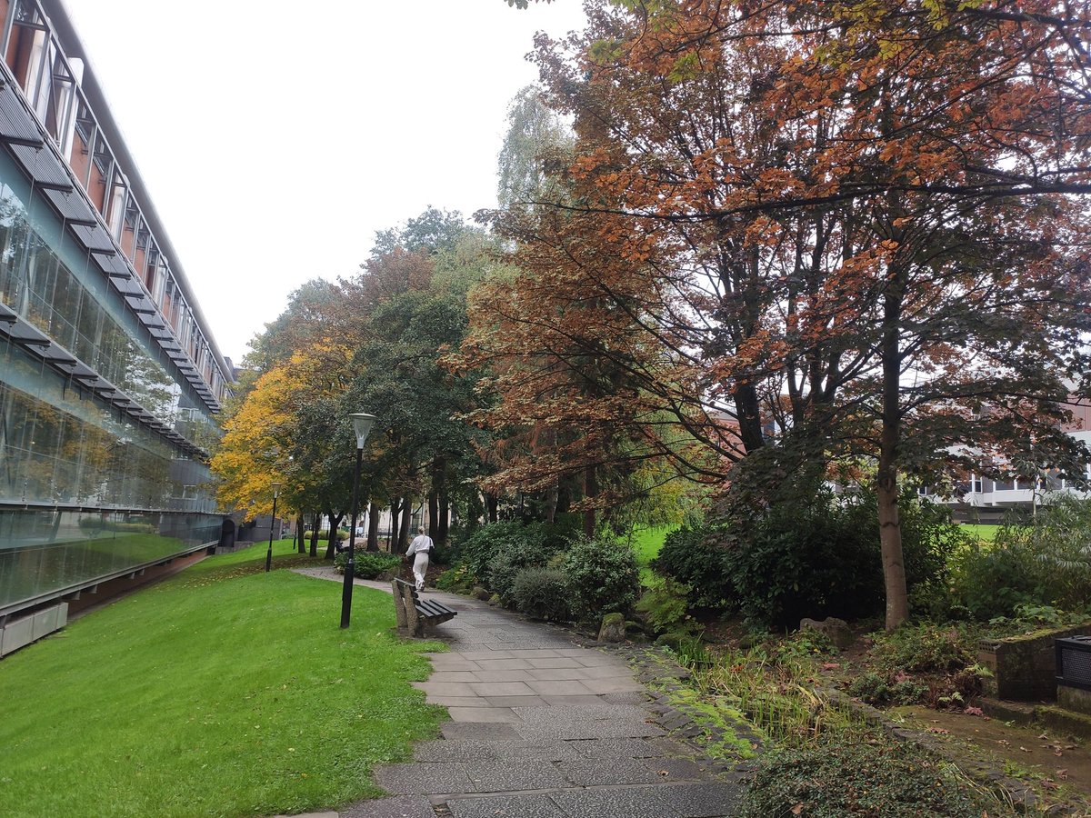 Lady Lestrange tweet media