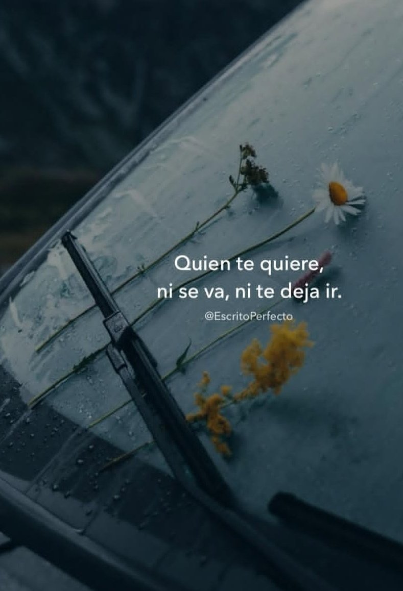 Quien te quiere...
Buenos días 🤍
