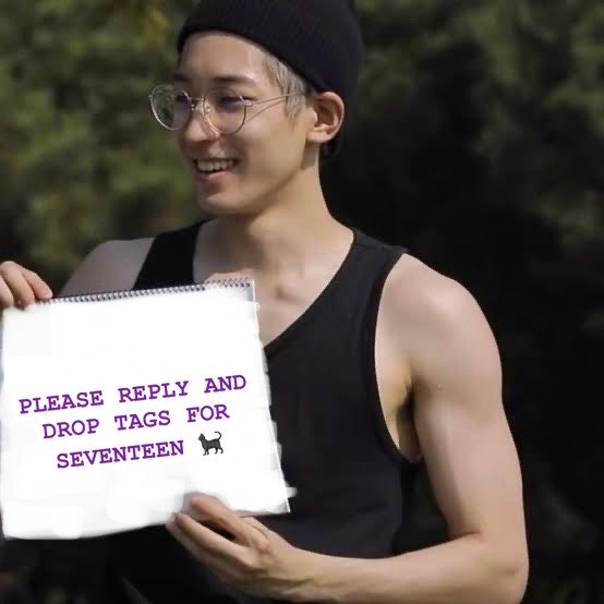 min9yuki's tweet image. if you see this, REPLY TAGS &amp;amp; RETWEET FOR SEVENTEEN! &amp;lt;3

wonu made an effort to create a banner (see pic) so, please do so! this is real, not edited 😝😋

(miss u wonu)

#2025MAMAVOTE #SEVENTEEN