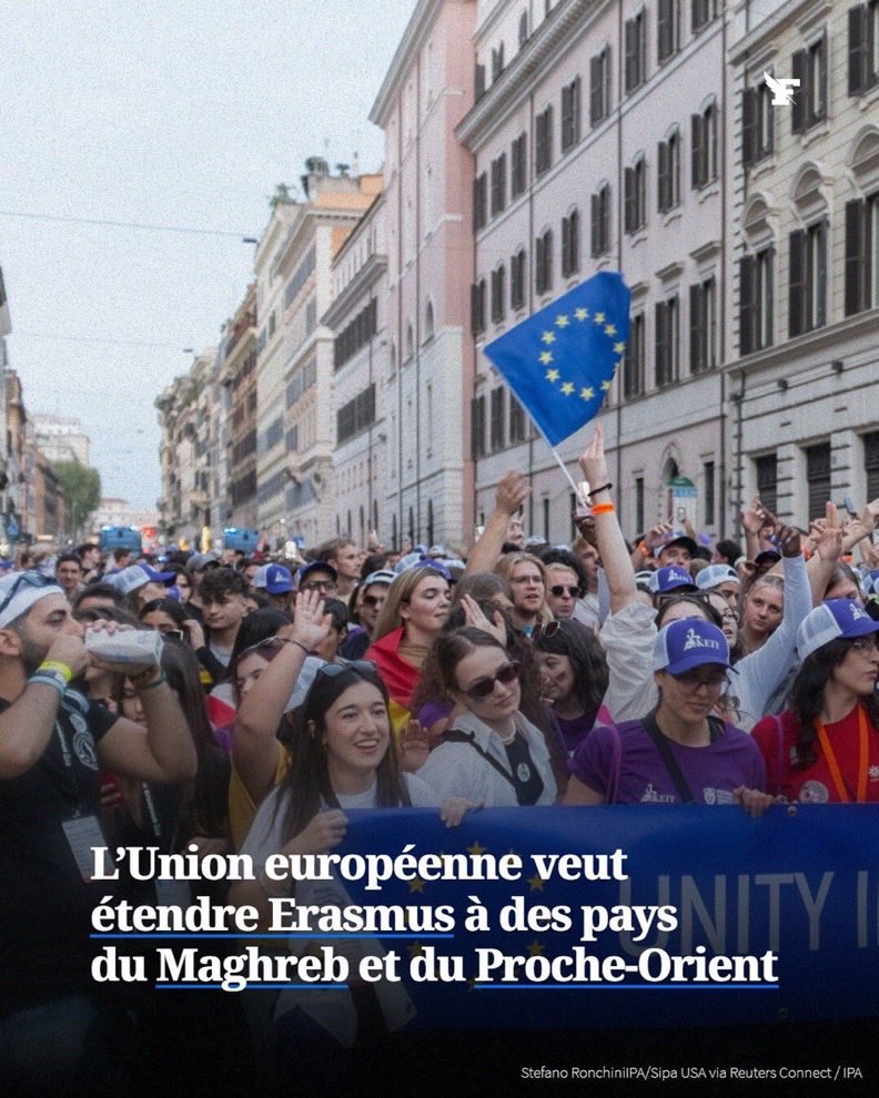 Wolf 🐺 tweet media