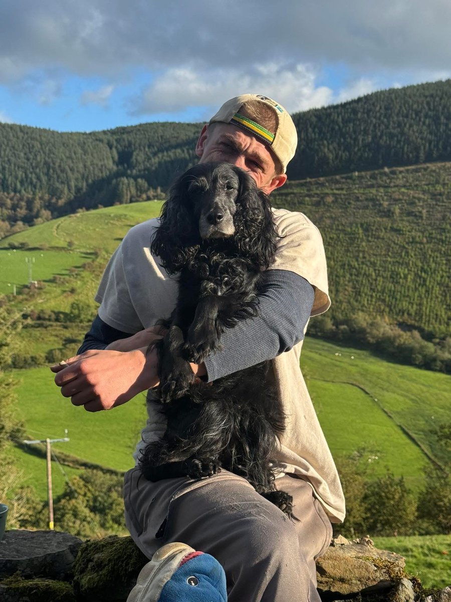 rosieDoc2's tweet image. #SpanielHour 
'really hoping she’s been picked up by some1, we’ve searched everywhere, she’s called EVIE shes not got her collar on/she’s deaf as a post though so she won’t respond to noise, TY for your help '
24/9/25 STILL MISSING 
#SY20 @StPeterMach @mallwydsvintage @HunnyJax