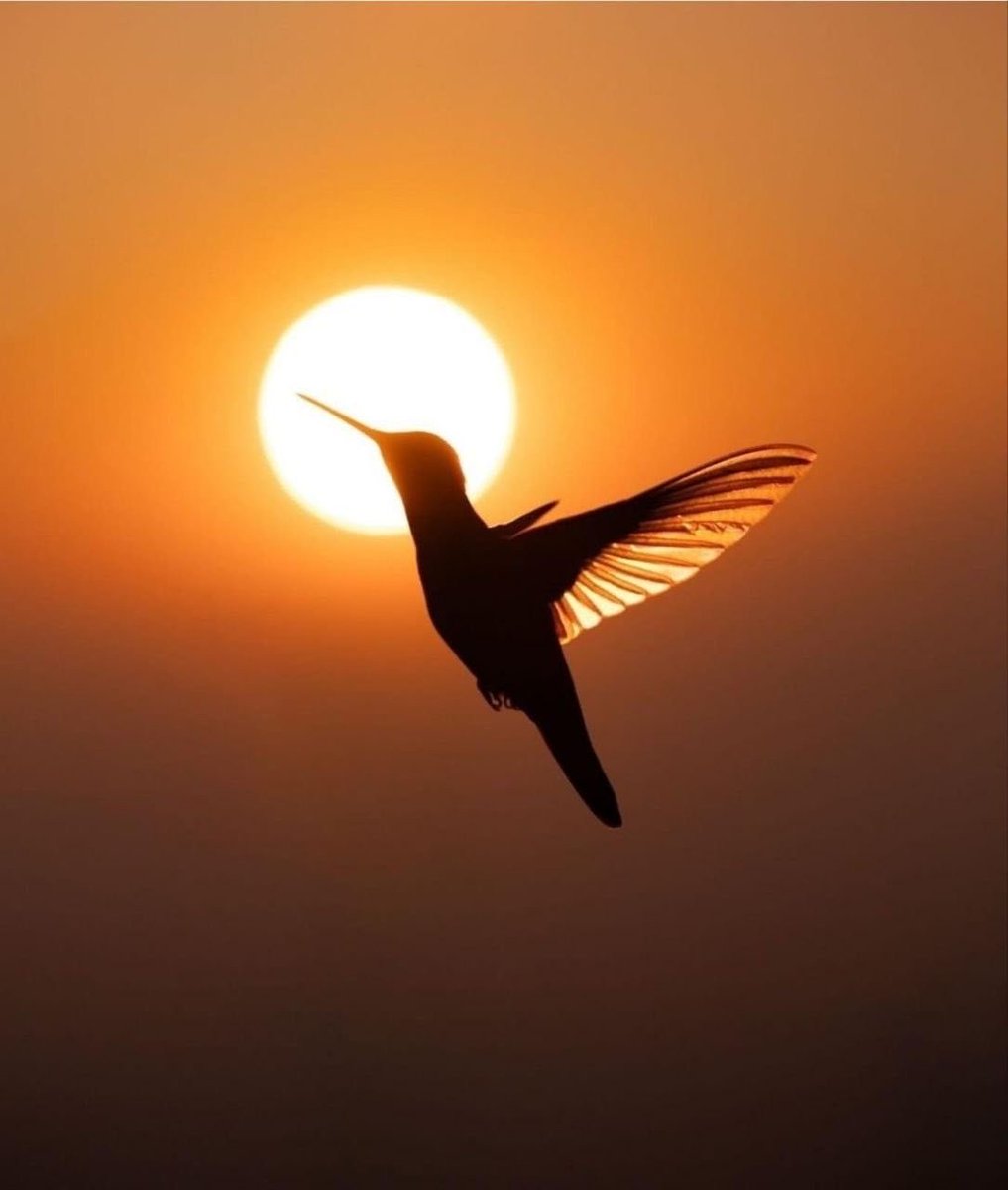 poojagarg1111's tweet image. Real progress comes from taking what you learn and turning it into daily practice until new patterns become automatic.
Become better version of yourself through sustained commitments.