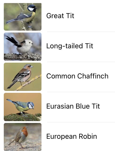 LouiseSlaterArt's tweet image. #firecrest heard in #bromptoncemetery how wonderful! @MerlinBirdID @theroyalparks #londonbirds