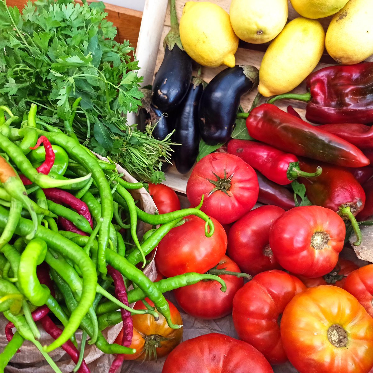 GoztepeKoop's tweet image. Kıvırcıklar, dereotları, maydanozlar, naneler, miss gibi yeşillikler, meyveler, sebzeler kooperatifte 💚💙

#göztepekoop #kooperatif #kooperatifçilik #dayanışma #tazesebzemeyve #gıdahakkı #gıdaegemenliği #yaşamıbirlikteörgütlüyoruz