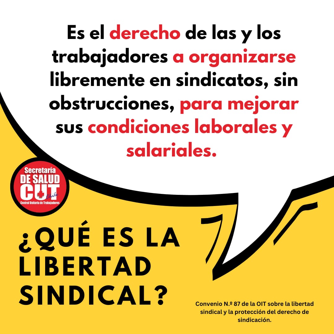 Secretaria de Salud CUT tweet media