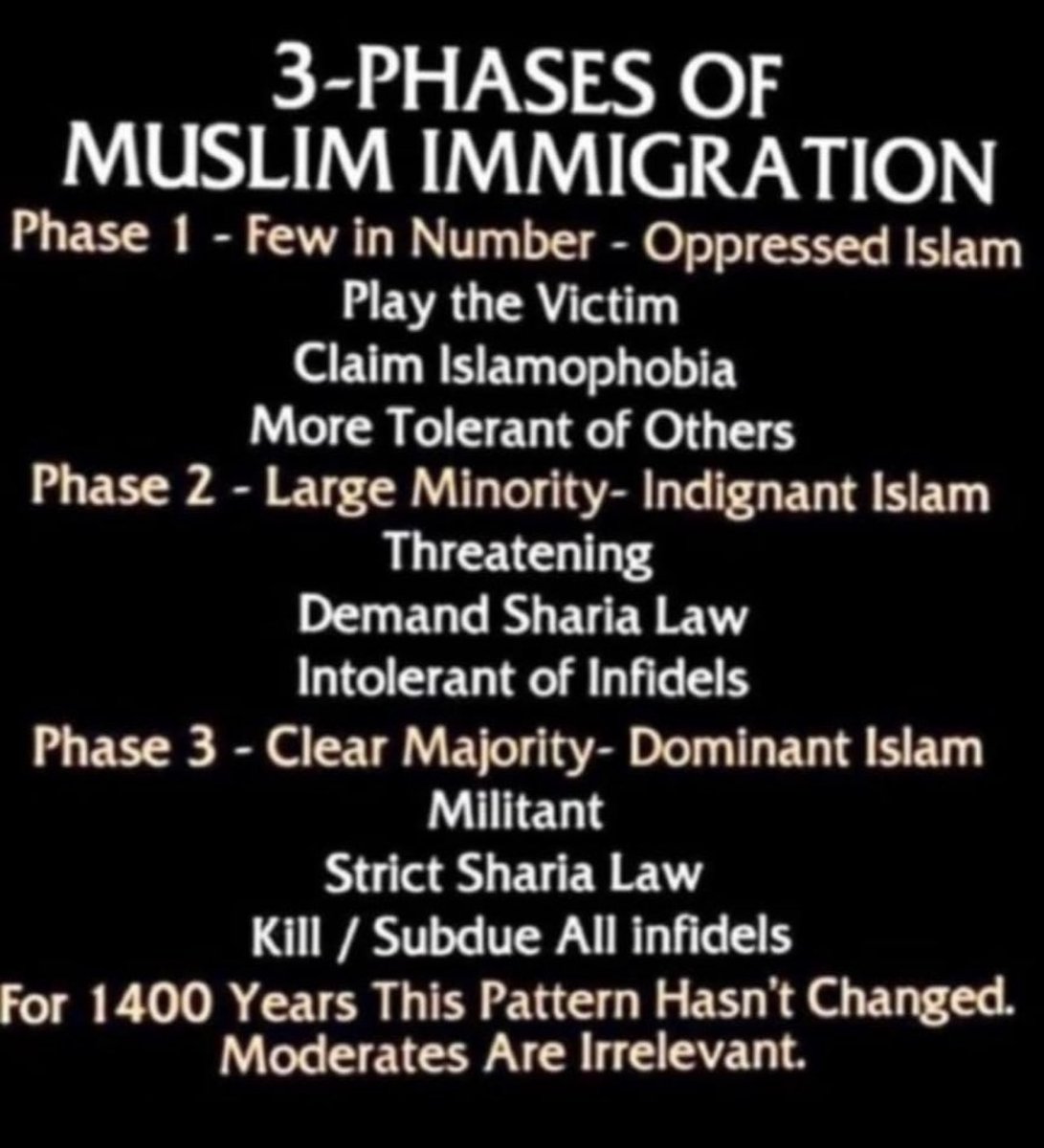 🇺🇸 FREDOMFIGHTR 🇺🇸 tweet media