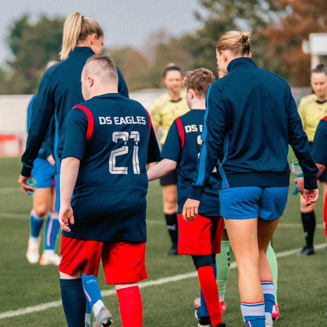 Palace for Life tweet media