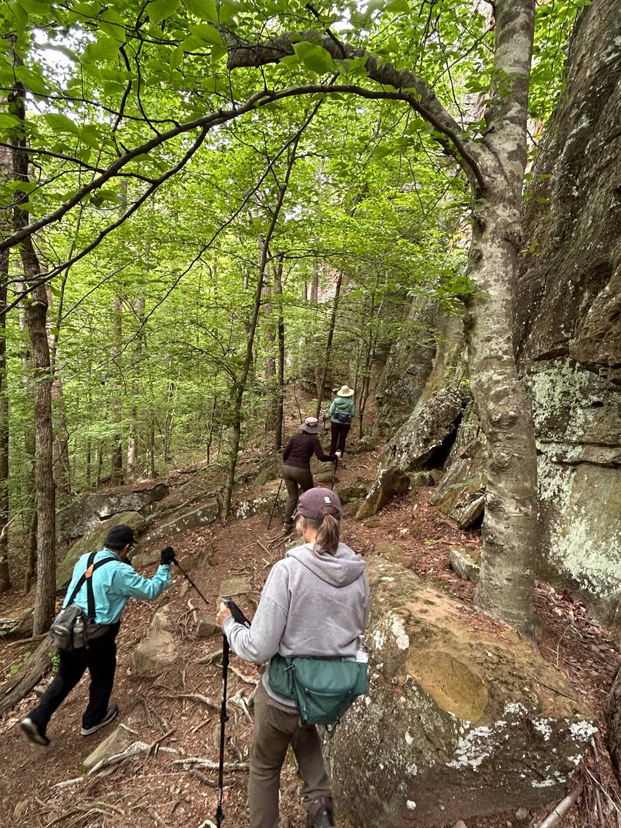 cruzzeroutdoors's tweet image. “Hump Day” Wednesday October 22nd 2025. In the country drive I had yesterday I saw some color on the trees along the way. It is the Fall hiking season for some of us. Get to the out there and start humping. A body in motion stays in motion. #discovernature #havefun.