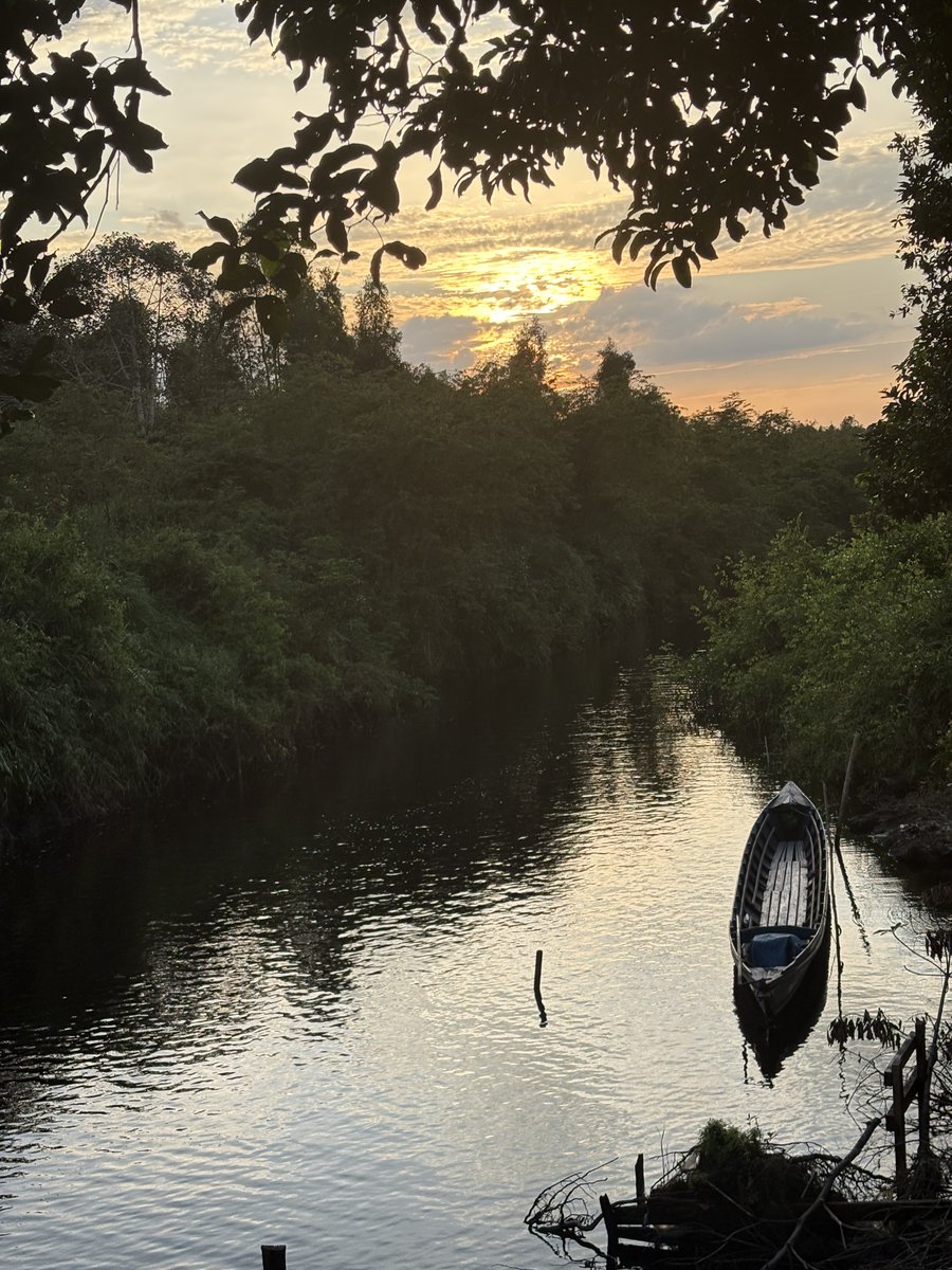 Our first baseline renewal isn’t just paperwork — it’s a step forward in science, credibility, and climate impact.

Read how the Katingan Mentaya Project is raising the bar for REDD+ projects... 
🔗 [permianglobal.com/blog/turning-i…]
#NatureBasedSolutions #baselinerenewal