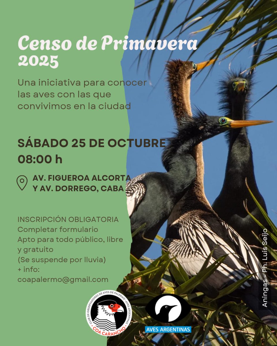 COA Carancho tweet media