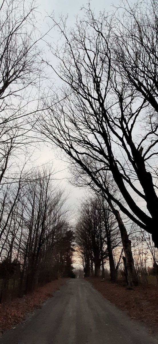 WizzzDom (@dombeaud22) on Twitter photo 