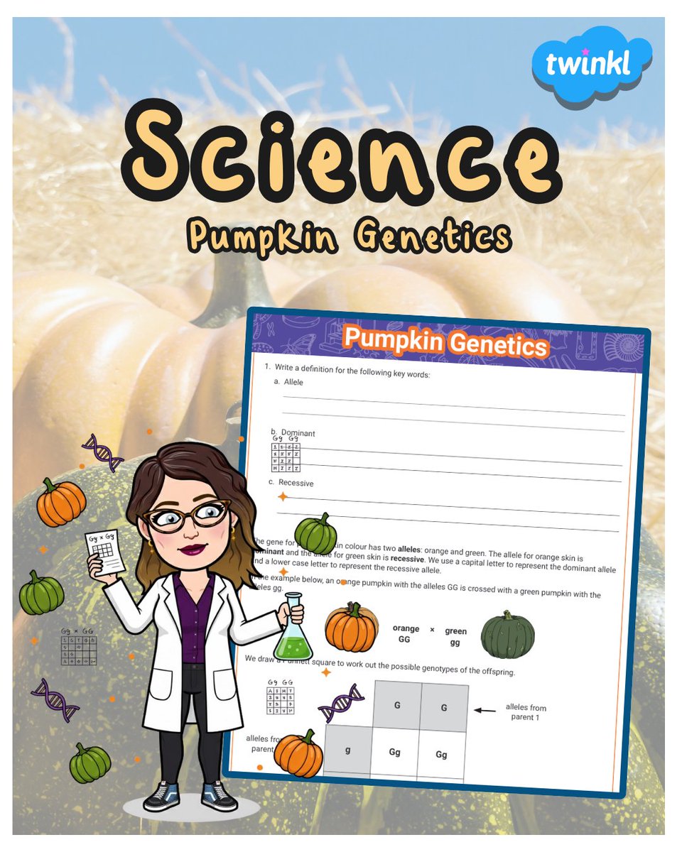 Mix spooky season fun with essential Science 🎃 with our Pumpkin Genetics Worksheet! It makes alleles and Punnett squares super clear. No-prep needed!

Grab it here: 👇 🔗 twinkl.co.uk/l/jo6ja

#TwinklNI #KS3Science #PumpkinGenetics #TeachNI #NoPrep #Biology