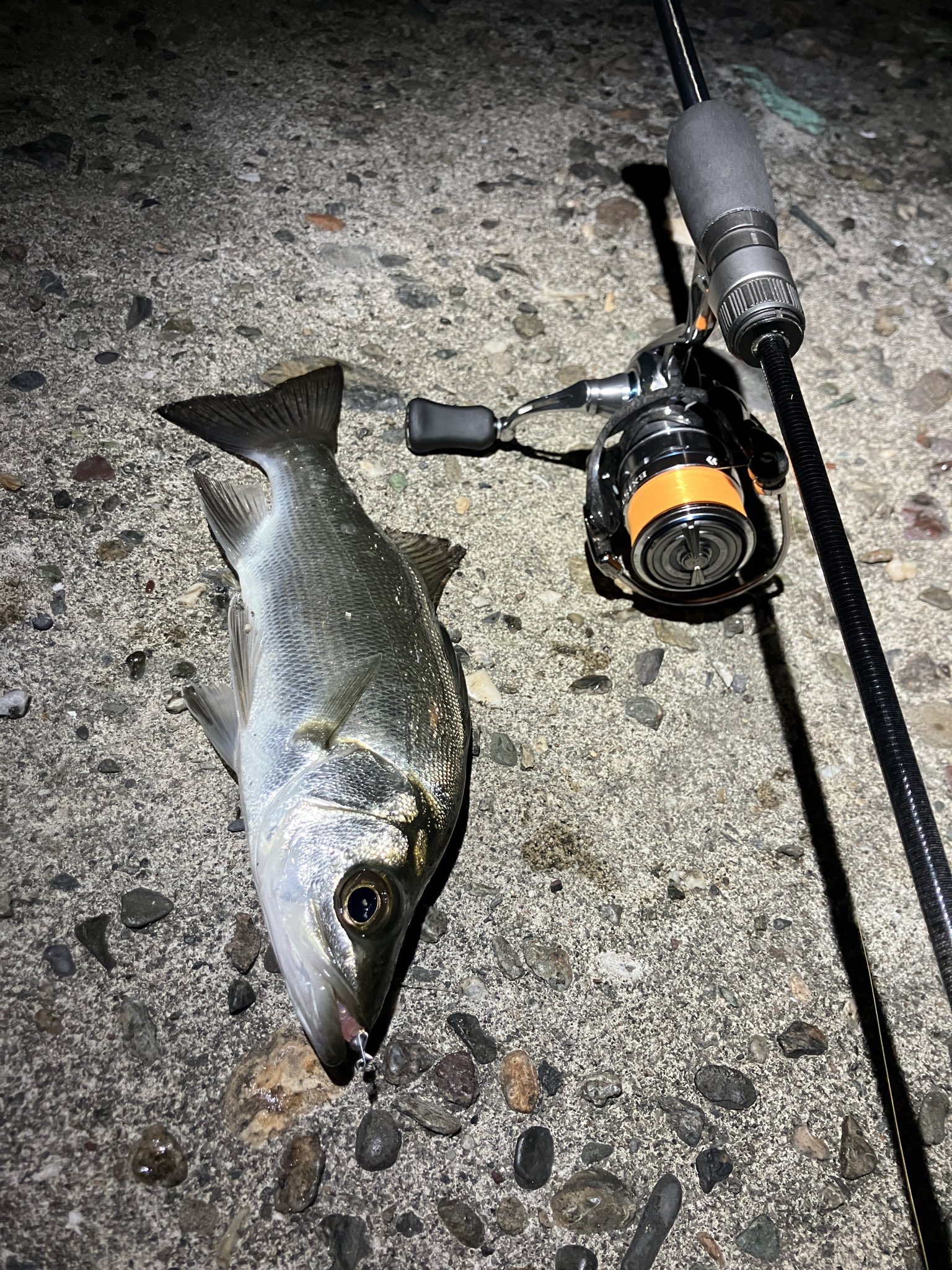 激安‼︎美品‼︎Coyote S96H フィッシングロッド ⭐︎早い者勝ち⭐︎ 釣り助 - 釣り助 added a new photo.