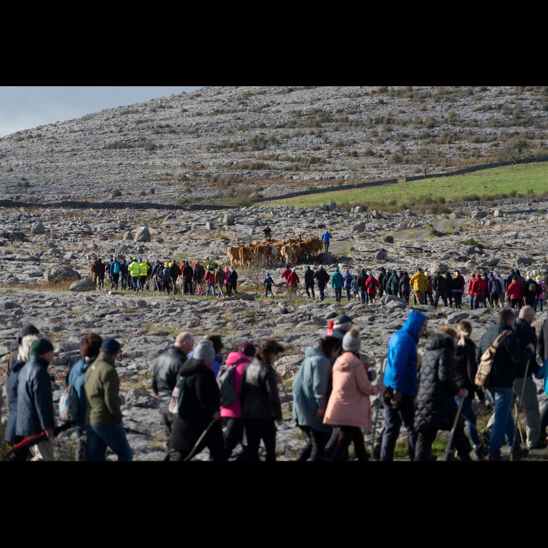 Be sure to join us over the weekend if you're free for what looks like a great couple of days. There's something for everyone 😀