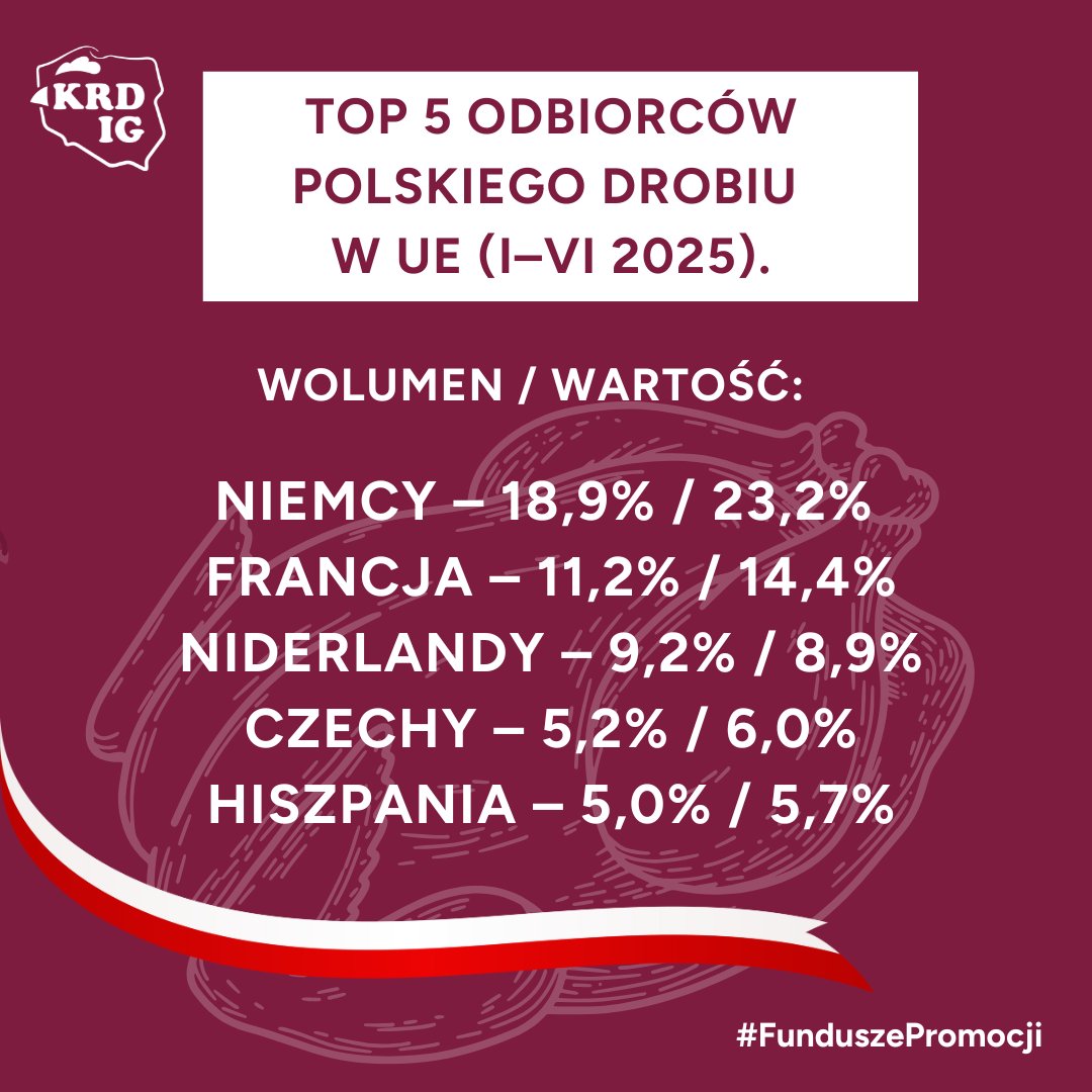 TOP 5 rynków UE dla polskiego drobiu (I–VI 2025)
Polski drób cieszy się niesłabnącą popularnością w Europie.
W pierwszym półroczu 2025 r. ponad 65% całego wolumenu eksportu trafiło na rynek unijny, a liderami wśród importerów pozostają: Niemcy, Francja, Niderlandy, Czechy i
